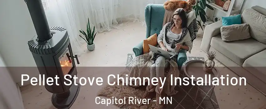 Pellet Stove Chimney Installation Capitol River - MN