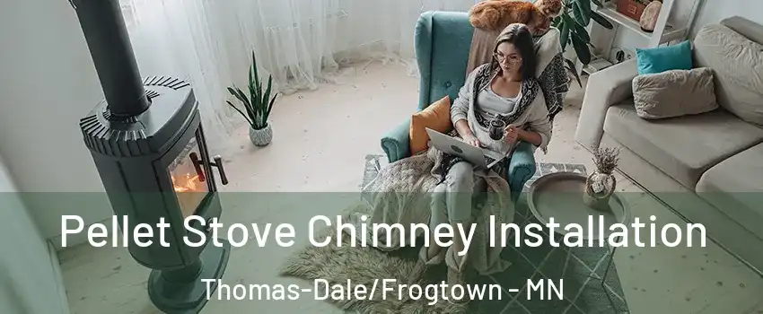 Pellet Stove Chimney Installation Thomas-Dale/Frogtown - MN