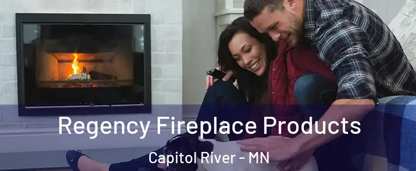 Regency Fireplace Products Capitol River - MN