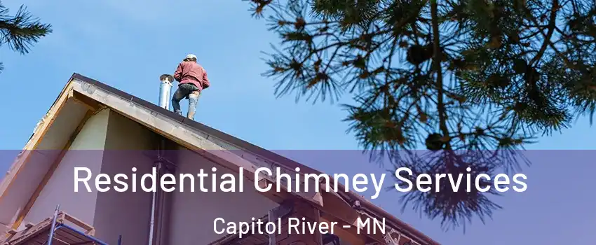 Residential Chimney Services Capitol River - MN