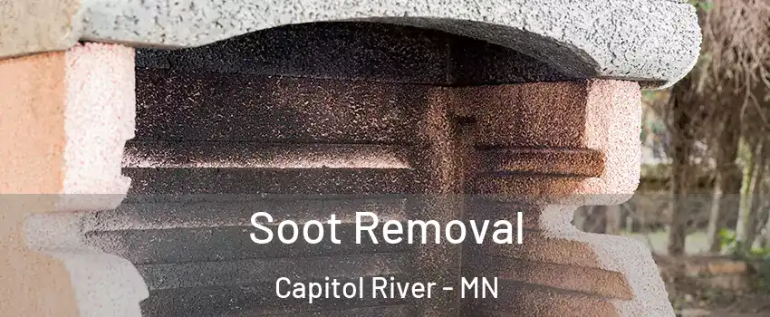 Soot Removal Capitol River - MN
