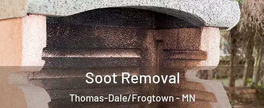 Soot Removal Thomas-Dale/Frogtown - MN