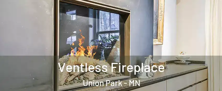 Ventless Fireplace Union Park - MN