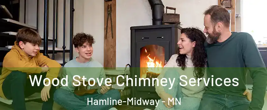 Wood Stove Chimney Services Hamline-Midway - MN