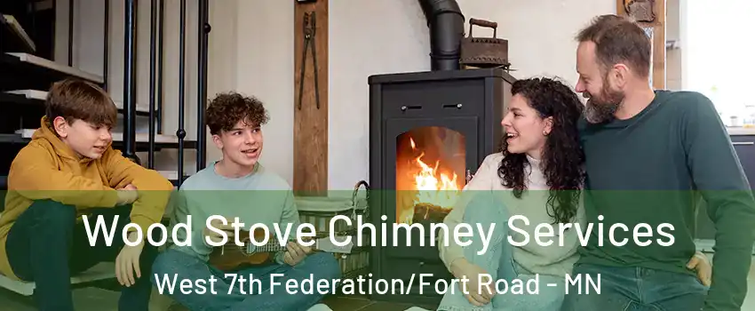 Wood Stove Chimney Services West 7th Federation/Fort Road - MN
