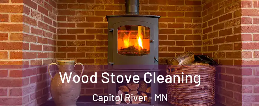 Wood Stove Cleaning Capitol River - MN