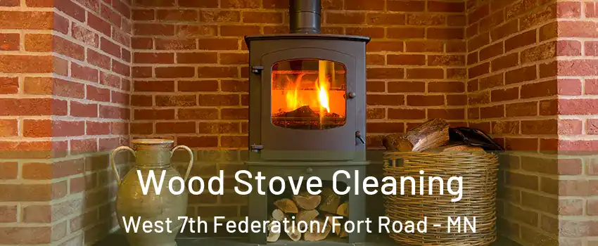Wood Stove Cleaning West 7th Federation/Fort Road - MN