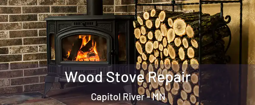 Wood Stove Repair Capitol River - MN