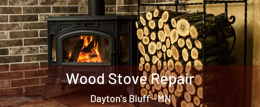 Wood Stove Repair Dayton's Bluff - MN